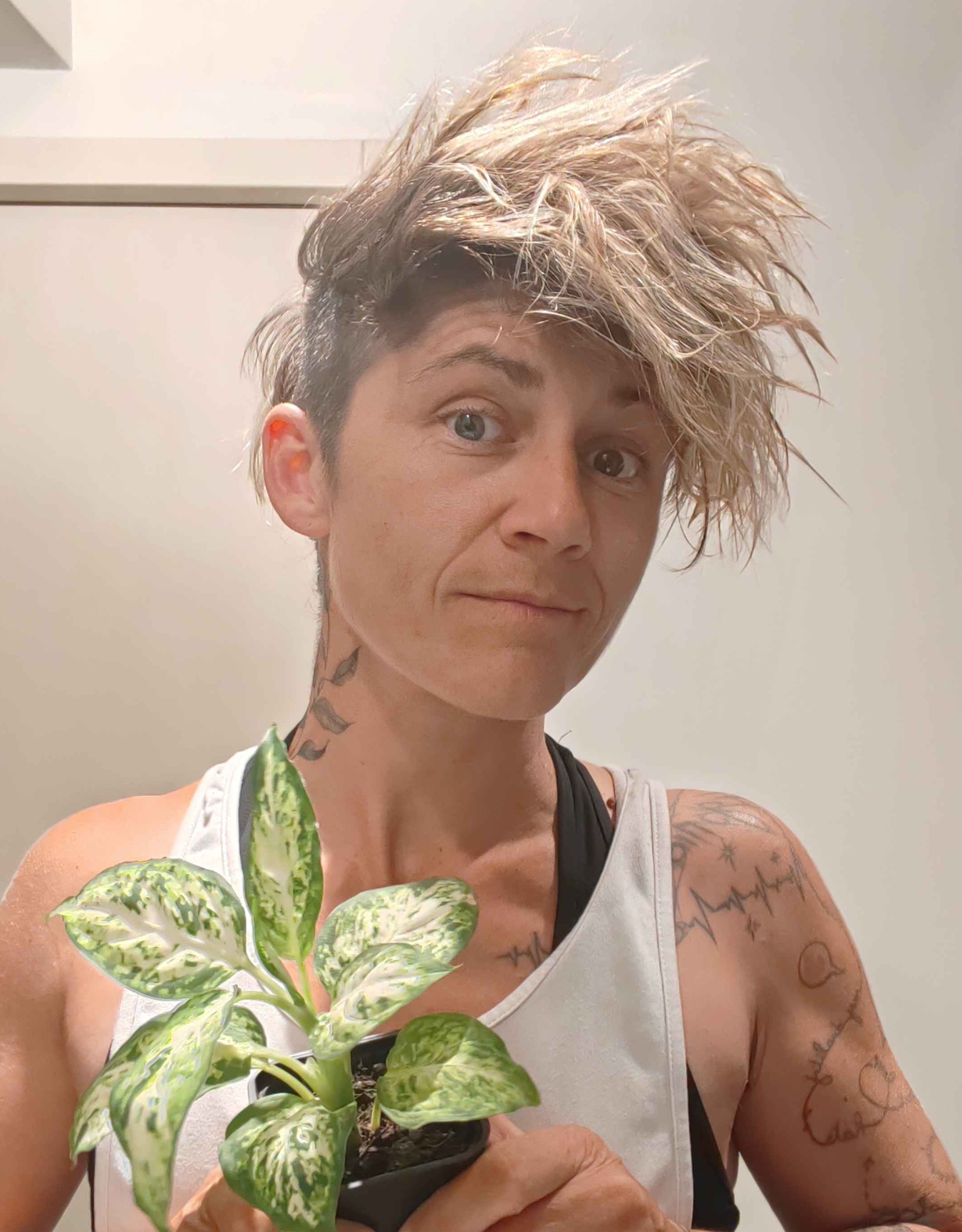 Noah Mathieu - Pépinieriste & Horticulteur